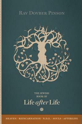 The Book of Life After Life by DovBer Pinson