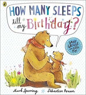 How Many Sleeps till my Birthday? by Mark Sperring