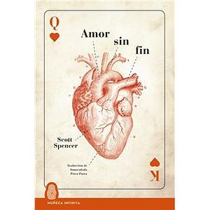 Amor sin fin by Scott Spencer