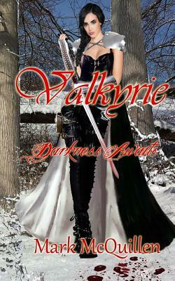 Valkyrie: Darkness Awaits by Mark McQuillen