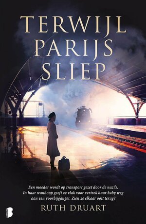 Terwijl Parijs sliep by Ruth Druart