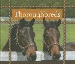 Thoroughbreds by Pamela Dell