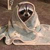 majickalth's profile picture