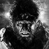texaswolfman's profile picture