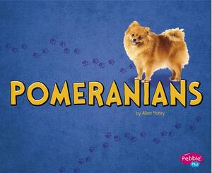 Pomeranians by Allan Morey