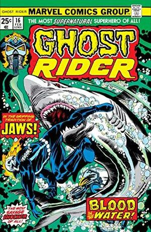 Ghost Rider (1973-1983) #16 by Bill Mantlo