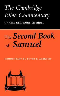 The Holy Bible in Audio - King James Version: 2 Samuel by Anonymous