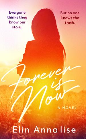 Forever is Now: An Aces in Love Story of Hope and Heartbreak by Elin Annalise