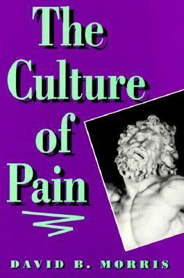 The Culture of Pain by David B. Morris