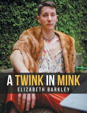 A Twink in Mink by Elizabeth Barkley