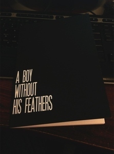 A Boy Without His Feathers by Beau Taplin