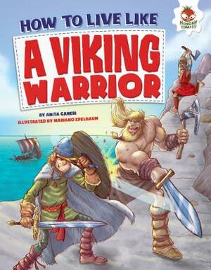 How to Live Like a Viking Warrior by Anita Ganeri