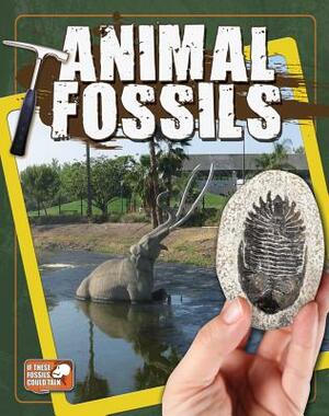 Animal Fossils by Natalie Hyde