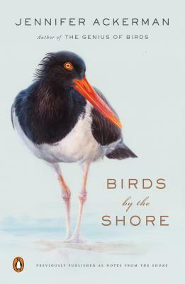 Birds by the Shore: Observing the Natural Life of the Atlantic Coast by Jennifer Ackerman