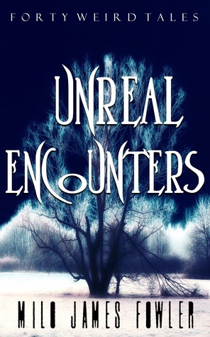 Unreal Encounters by Milo James Fowler