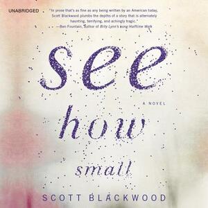 See How Small by Scott Blackwood