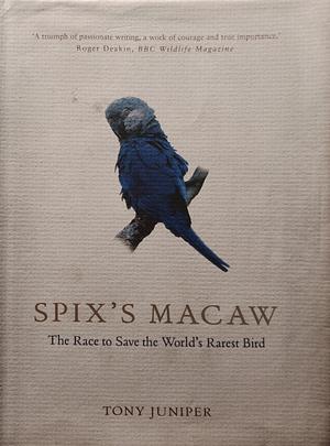 Spix's Macaw by Tony Juniper