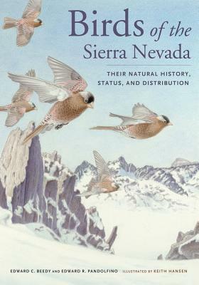 Birds of the Sierra Nevada: Their Natural History, Status, and Distribution by Ed Pandolfino, Ted Beedy