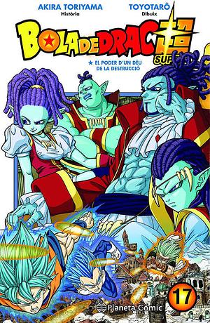 Dragon Ball Super, vol. 17: el poder de un Dios de la Destrucción by Akira Toriyama