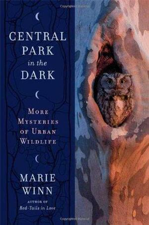 Central Park After Dark by Marie Winn
