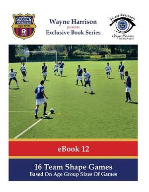 16 Team Shape Games: Based On Age Group Sizes Of Games by Wayne Harrison