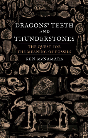 Dragons' Teeth and Thunderstones: The Quest for the Meaning of Fossils by Kenneth J McNamara