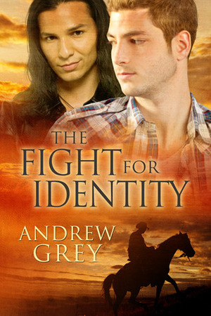 The Fight for Identity by Andrew Grey