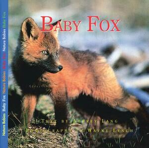 Baby Fox by Aubrey Lang