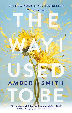 The way I used to be by Amber Smith