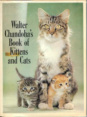 Walter Chandoha's Book of Kittens and Cats by Walter Chandoha