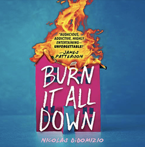 Burn It All Down by Nicolas DiDomizio