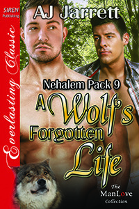 A Wolf's Forgotten Life by A.J. Jarrett