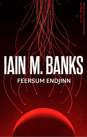 Feersum Endjinn by Iain M. Banks