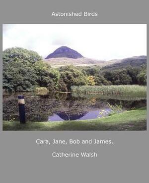 Astonished Birds Cara, Jane, Bob and James. by Catherine Walsh