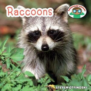 Raccoons by Steven Otfinoski