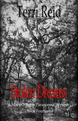 Stolen Dreams - A Mary O'Reilly Paranormal Mystery - Book Fourteen by Terri Reid