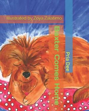 Baxter Comes Home: Illustrated by Zoya Zalatimo by Pria Dee