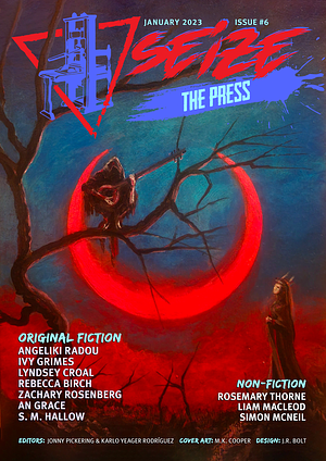Seize The Press Issue #6 by Jonny Pickering