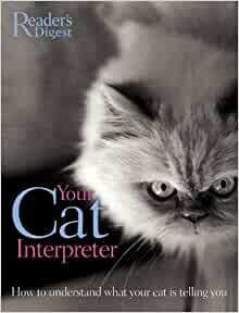 Your Cat Interpreter by David Alderton