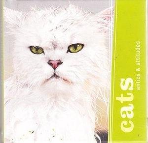 Cats: Antics & Attitudes by Jeff Morgan, Jeff Morgan