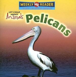 Pelicans by Kathleen Pohl