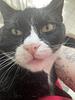 handerson97's profile picture