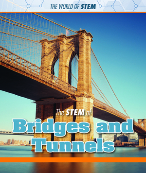 The Stem of Bridges and Tunnels by Kristin Thiel