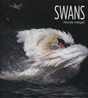 Swans by Nicole Helget