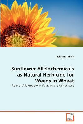 Sunflower Allelochemicals as Natural Herbicide for Weeds in Wheat by Tehmina Anjum