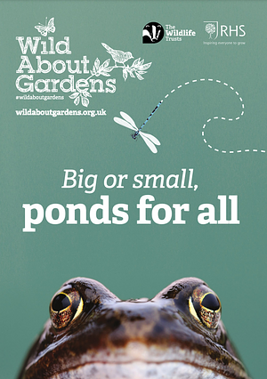 Big or Small, Ponds for All by Wild About Gardens