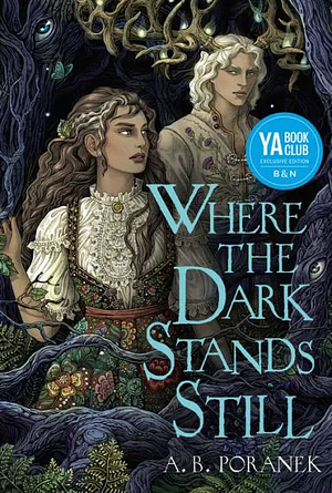 Where the Dark Stands Still by A.B. Poranek