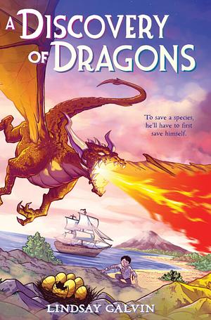 A Discovery of Dragons by Lindsay Galvin