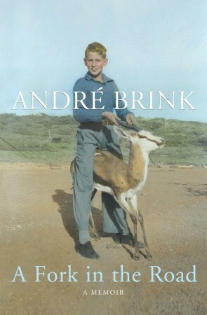 A Fork in the Road by André Brink