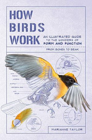 How Birds Work: An Illustrated Guide to the Wonders of Form and Function—from Bones to Beak by Marianne Taylor
